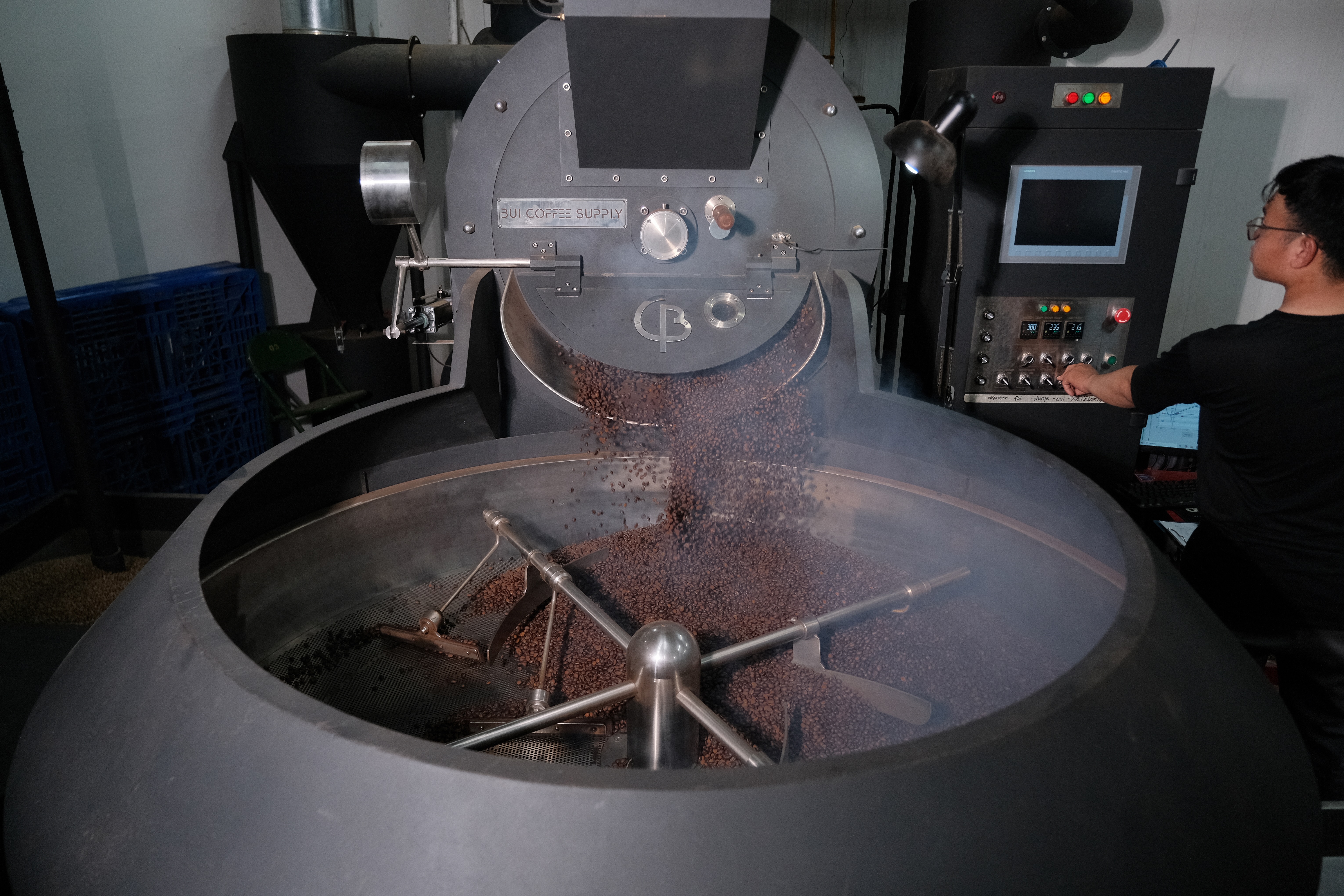 Hur kaffe görs, från planta till kopp